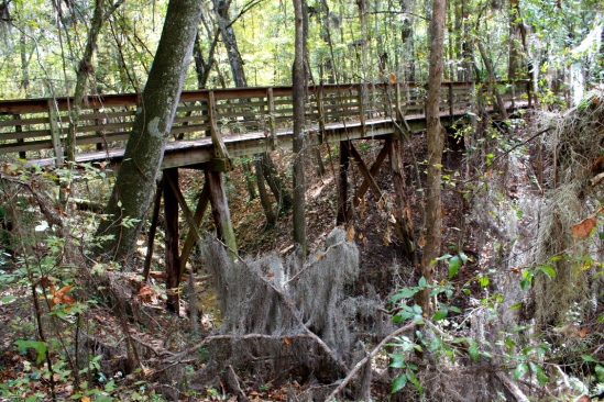 Foot Bridge on the trail